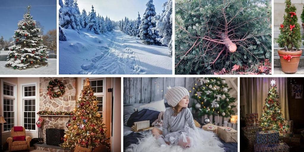 Новый год, рождество и ёлка